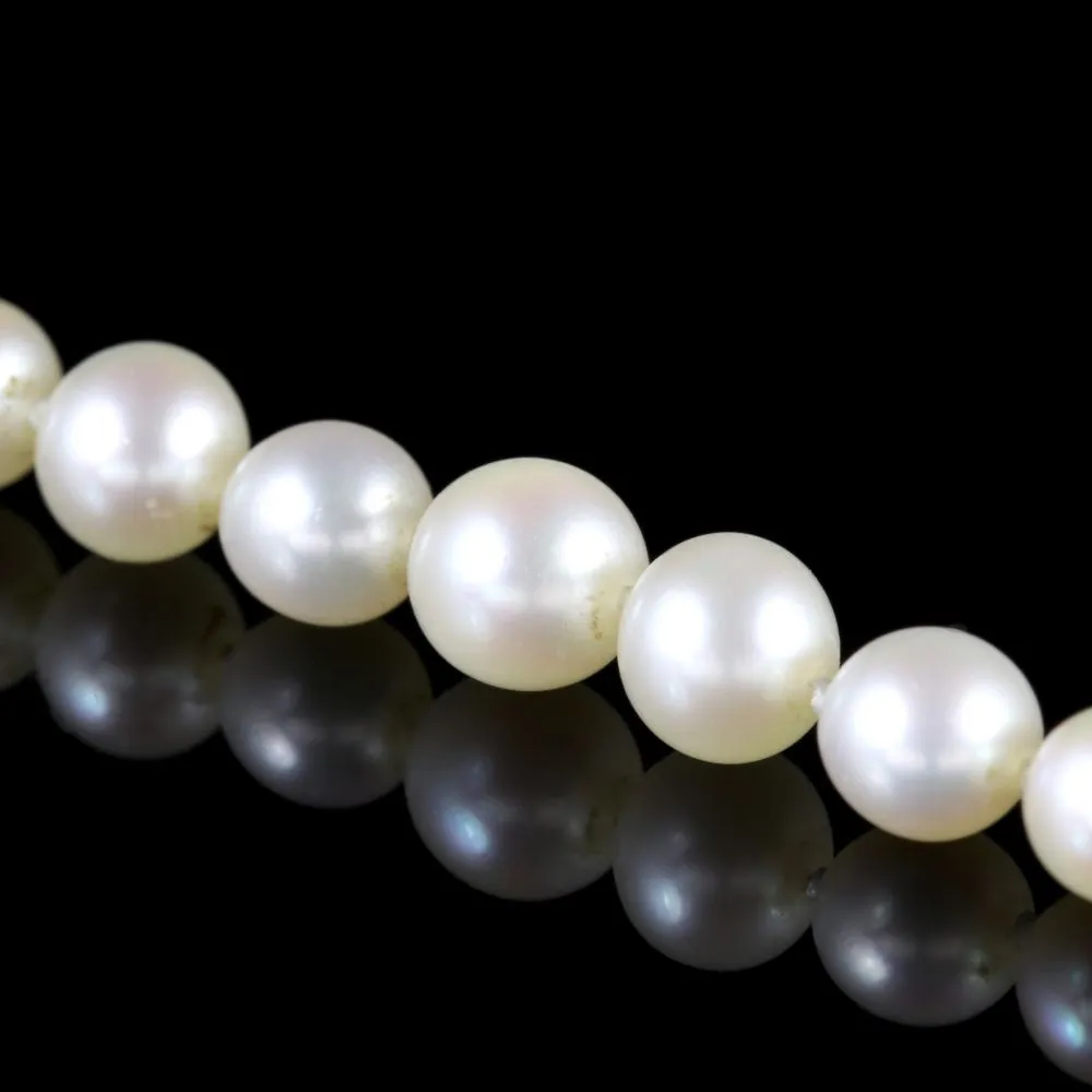 Antique Victorian Pearl Boxed Necklace Circa 1900