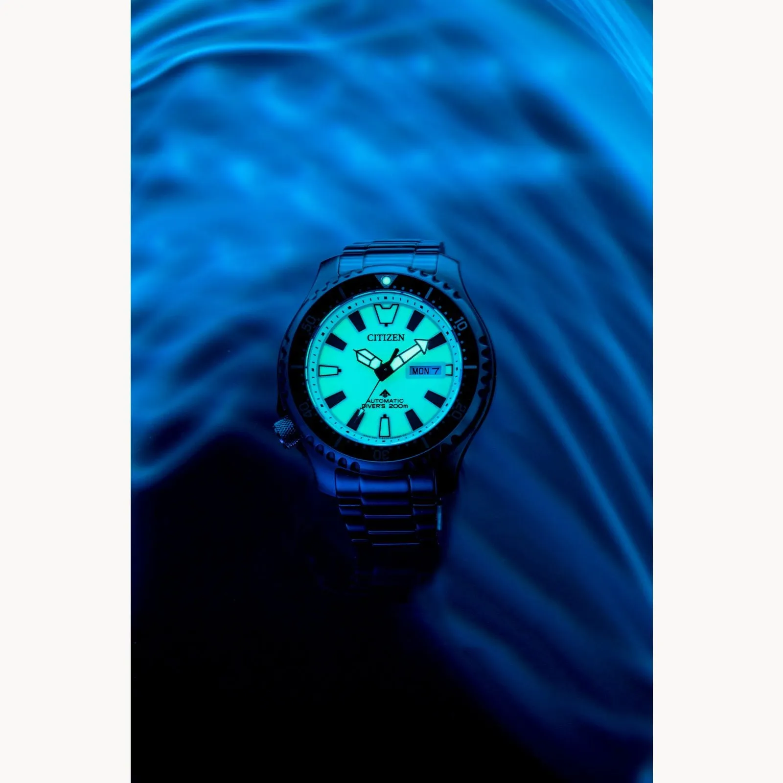 Citizen Promaster Dive Automatic Premium watch